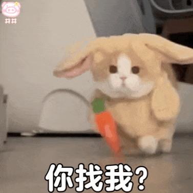 圖片關鍵詞 圖片